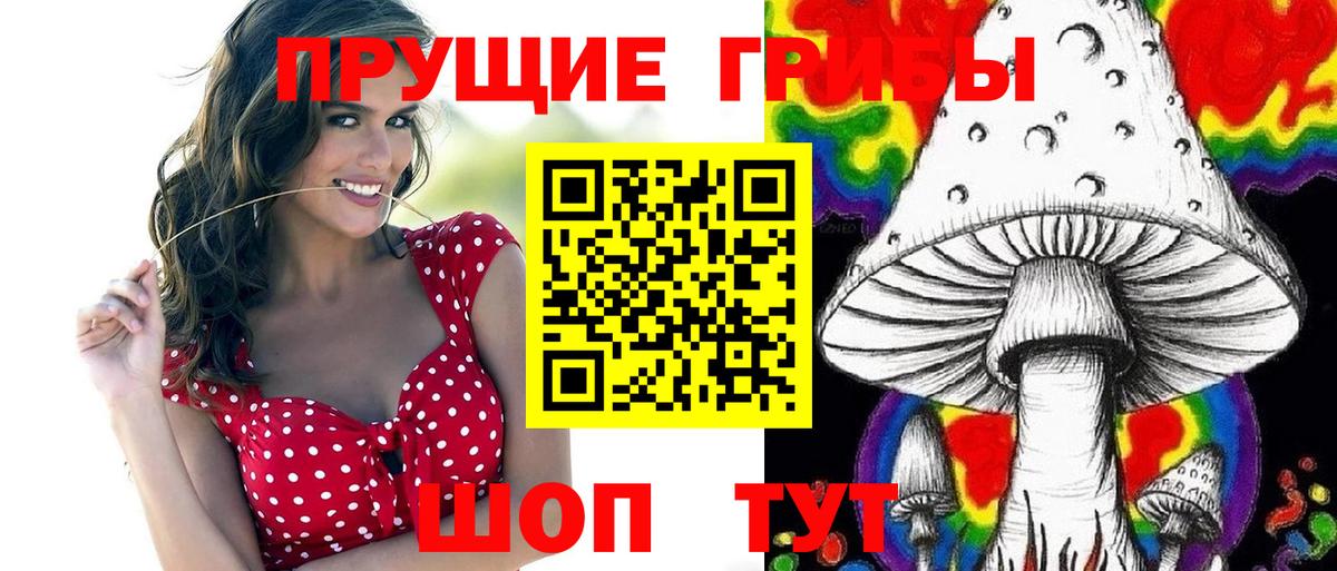 сколько стоит  Галлюциногенные грибы Psilocybe  Вход с VPN  Сыктывкар 